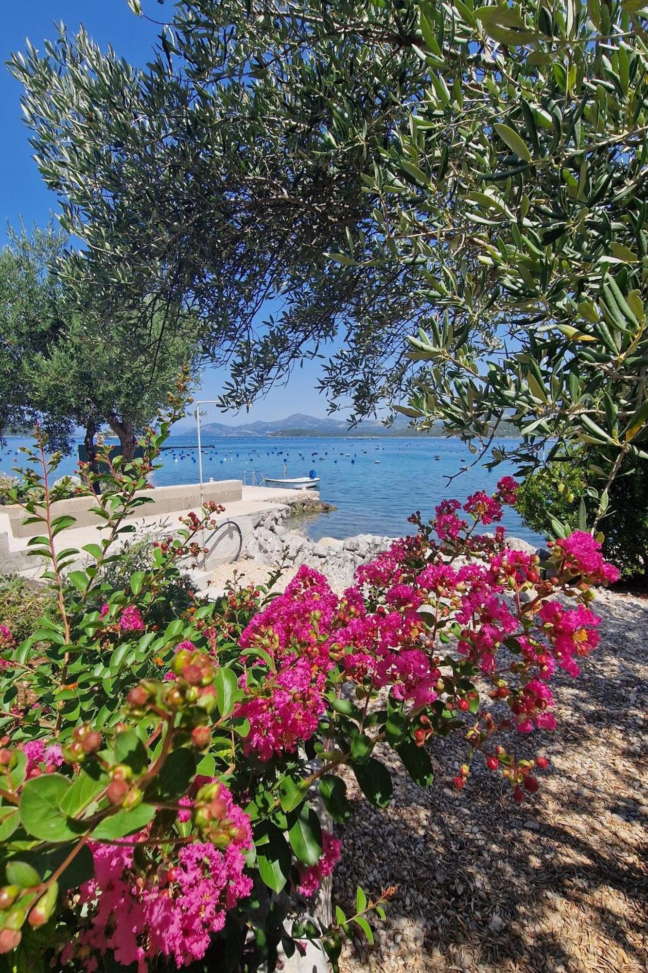 Apartments By The Sea Zuronja, Peljesac - 13202 Putniković Dış mekan fotoğraf